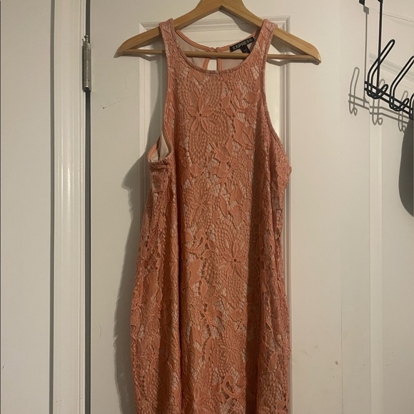 Express Pink Lace Dress - Picture 3 of 3